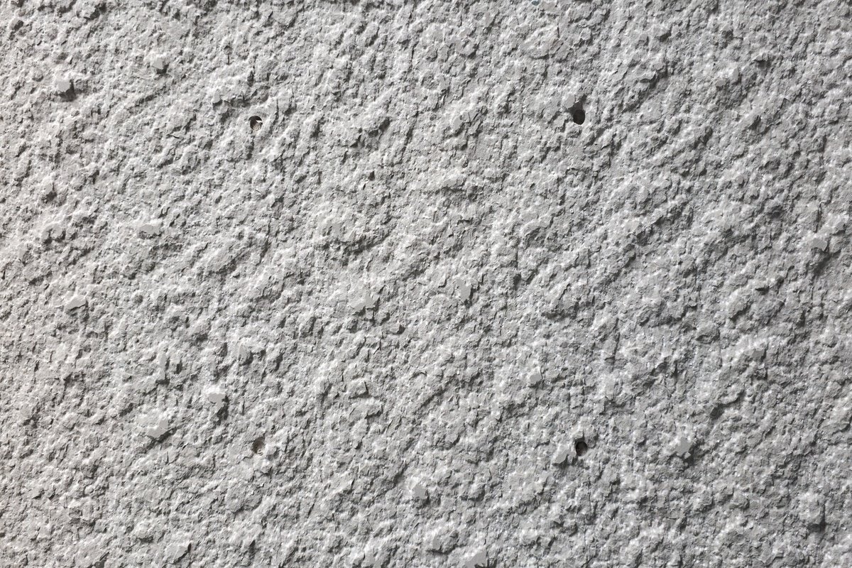 WhatsApp Image 2026-01-21 at 1.45.35 PM (3)